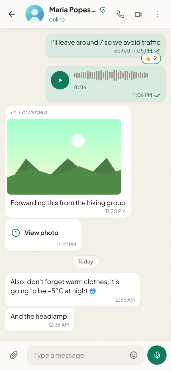 Dialog on a phone: a chat with a voice message, a photo, reactions and a view-once photo