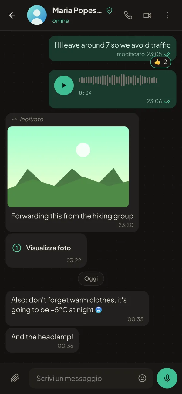 Dialog sul telefono: una chat con un messaggio vocale, una foto, reazioni e una foto da vedere una volta